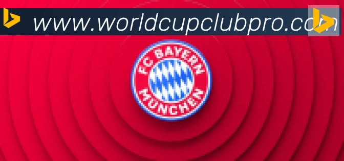 FIFA世界杯买球入口合作伙伴